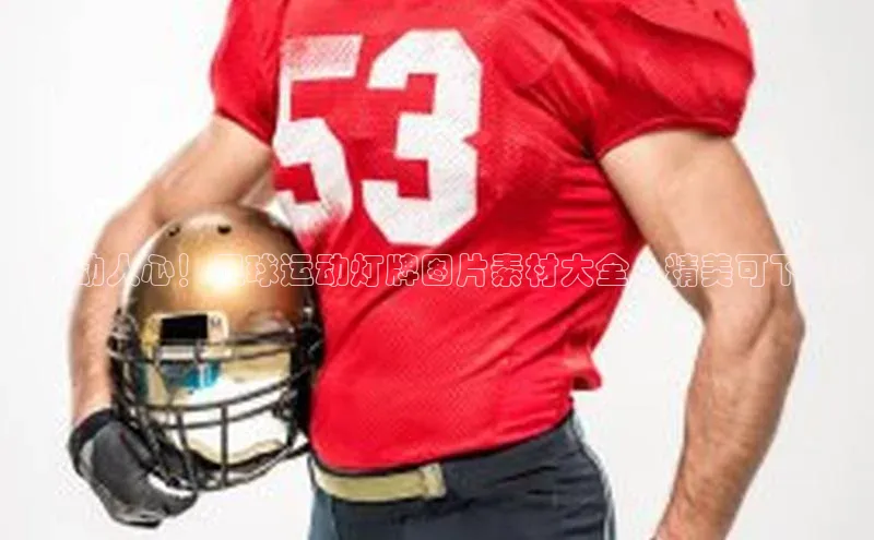 熊猫体育app下载安装歌力思