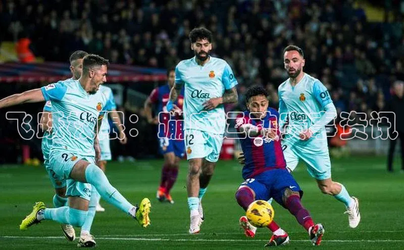 熊猫体育平台官网百度翻译App