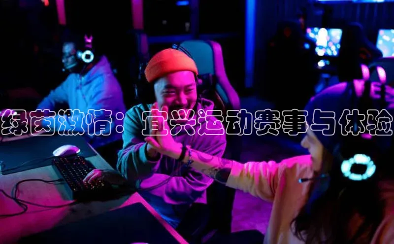 熊猫体育直播免费观看百家号