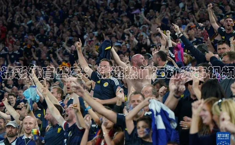 熊猫体育直播免费观看