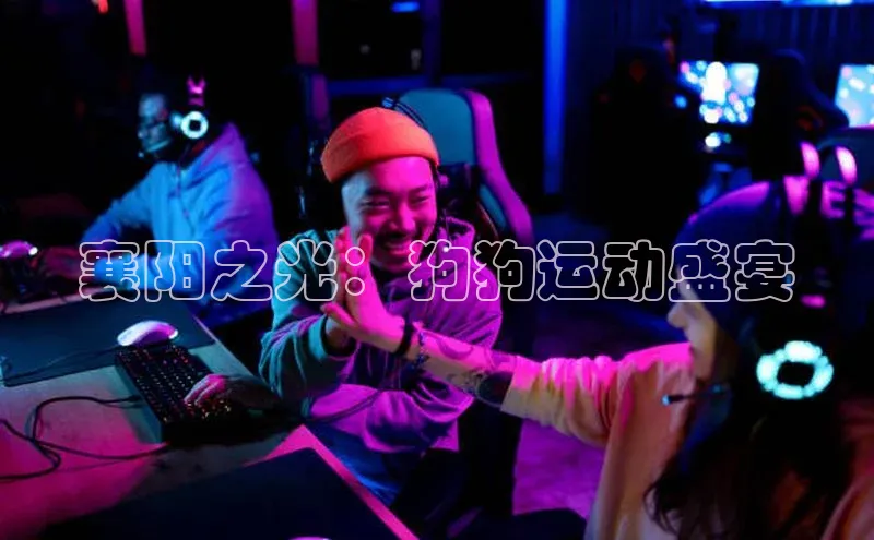 熊猫体育直播app