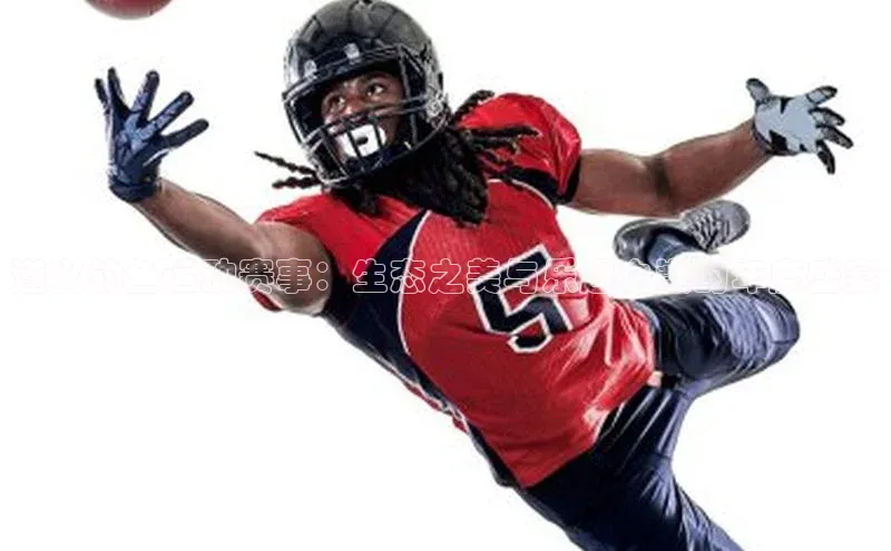 熊猫体育足球直播app