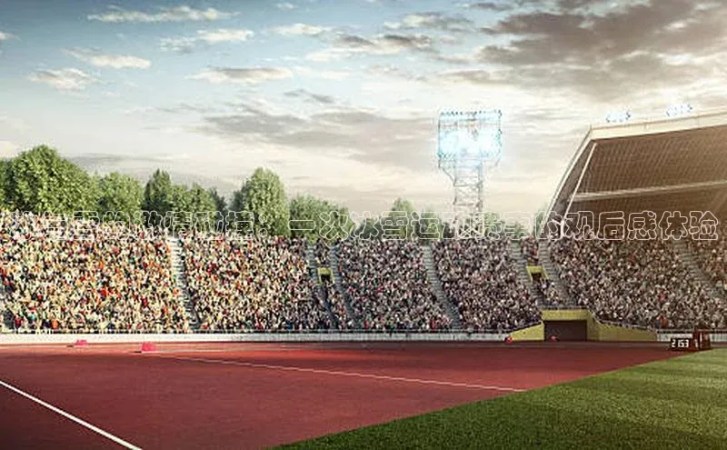 熊猫体育直播免费足球